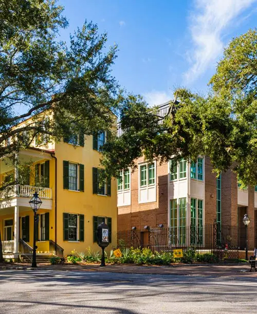 Houses with trees in front
