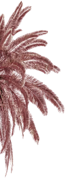 palm tree